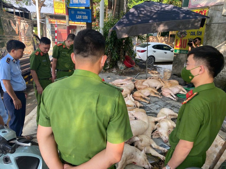 Kiểm tra đột xuất nhà hàng, phát hiện 800kg thịt lợn bốc mùi hôi thối- Ảnh 2.