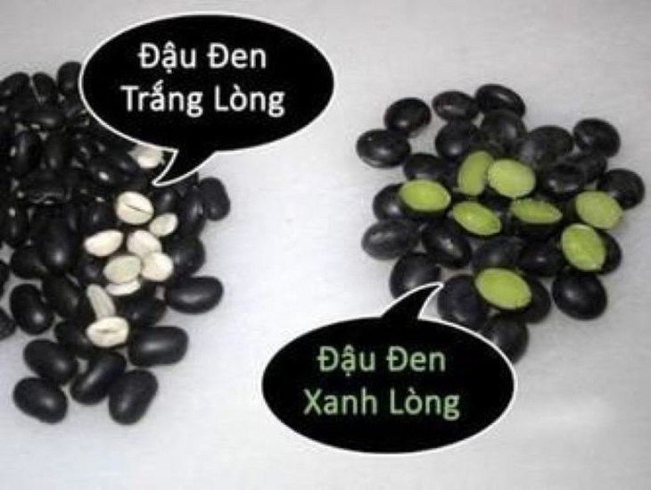 Lưu ý khi uống nước đậu đen hạn chế tóc bạc sớm- Ảnh 1.