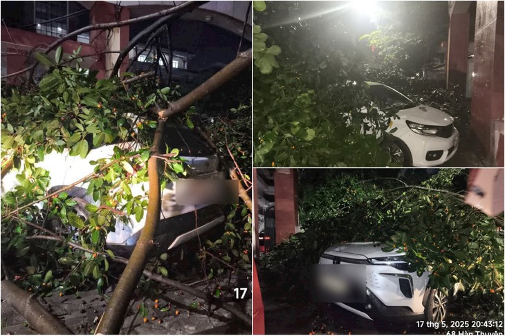 Mưa dông quật đổ cổng chào vào Khu di tích Lam Kinh- Ảnh 2. Mưa dông quật đổ cổng chào vào Khu di tích Lam Kinh- Ảnh 2.