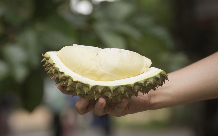 Ăn sầu riêng có giảm cân không?