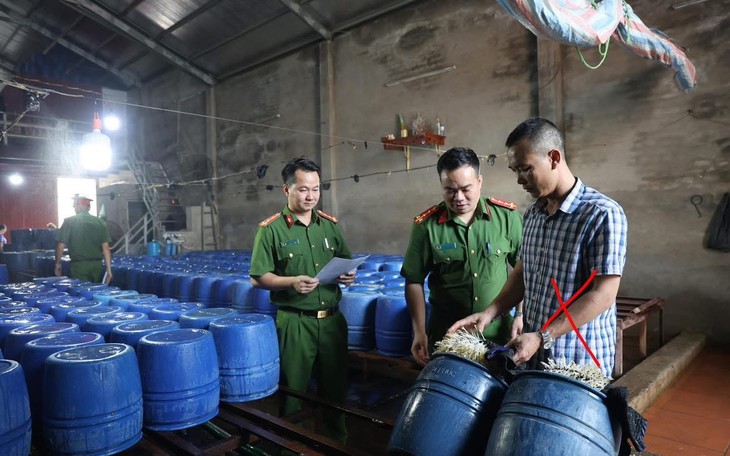 Khởi tố chủ cơ sở đã bán hơn 60 tấn giá đỗ "ngậm" chất kích thích ra thị trường
