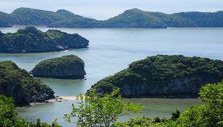 Hải Phòng sắp có hai đặc khu hành chính đầu tiên - Ảnh 1. Hải Phòng sắp có hai đặc khu hành chính đầu tiên - Ảnh 1.