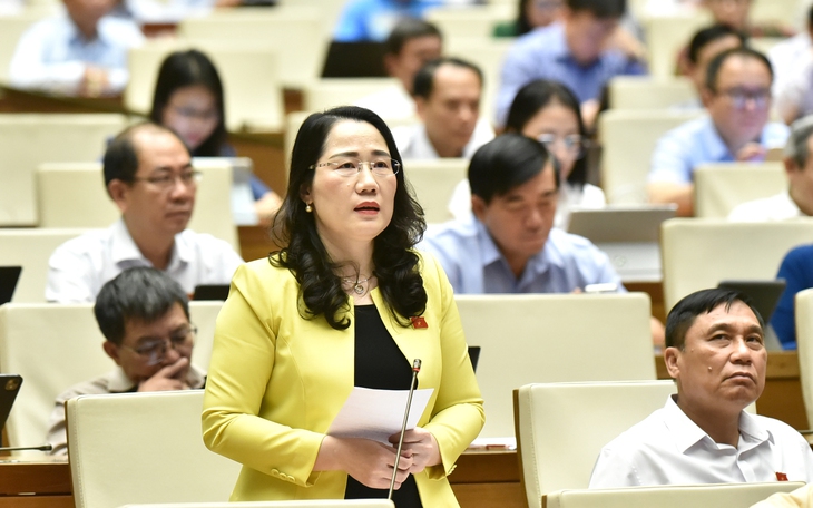 Đề nghị bổ sung tòa án chuyên biệt vào hệ thống tòa án