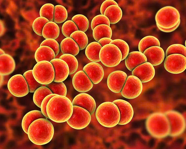 Anh triển khai vaccine phòng bệnh lậu đầu tiên trên thế giới- Ảnh 1. Anh triển khai vaccine phòng bệnh lậu đầu tiên trên thế giới- Ảnh 1.