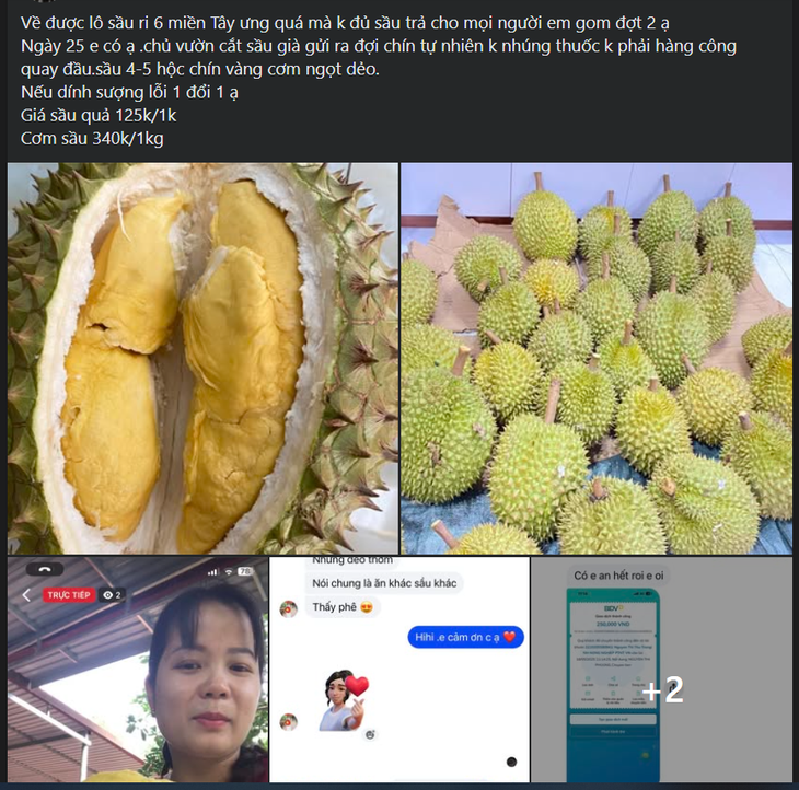 Loạn giá sầu riêng, nơi bán vài chục nghìn nơi hàng trăm nghìn đồng/kg- Ảnh 6.