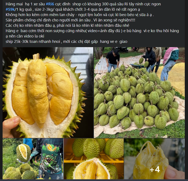 Loạn giá sầu riêng, nơi bán vài chục nghìn nơi hàng trăm nghìn đồng/kg- Ảnh 1.