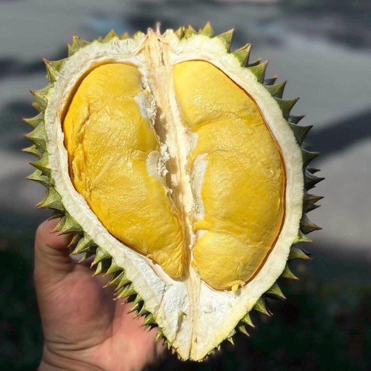 Loạn giá sầu riêng, nơi bán vài chục nghìn nơi hàng trăm nghìn đồng/kg- Ảnh 10.