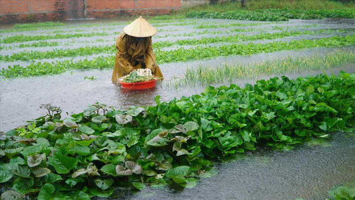 Mưa lũ gây thiệt hại cho các tỉnh miền Bắc- Ảnh 2.