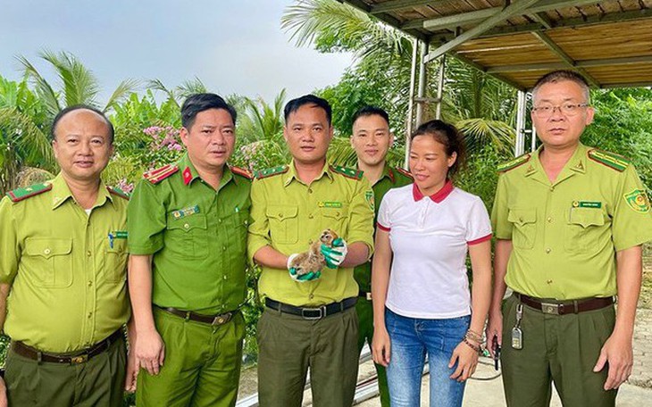 Động vật quý hiếm 'lạc' vào vườn nhà dân