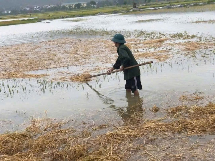 Nông dân căng mình 'cứu lúa' sau lũ- Ảnh 3.
