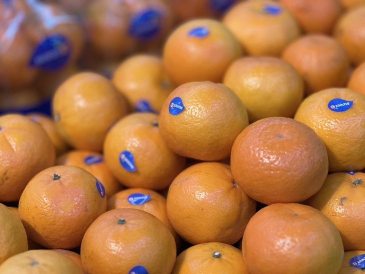 Vitamin C uống mỗi ngày có được không?- Ảnh 2. Vitamin C uống mỗi ngày có được không?- Ảnh 2.