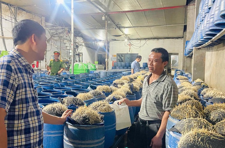 Hóa chất ngâm giá đỗ có thể gây tổn thương gan, thận, thậm chí tử vong- Ảnh 1. Hóa chất ngâm giá đỗ có thể gây tổn thương gan, thận, thậm chí tử vong- Ảnh 1.