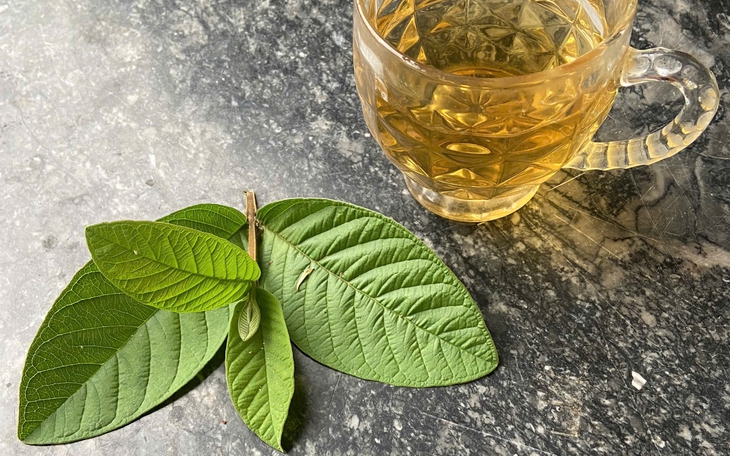 Uống nước lá ổi hàng ngày có tốt không?