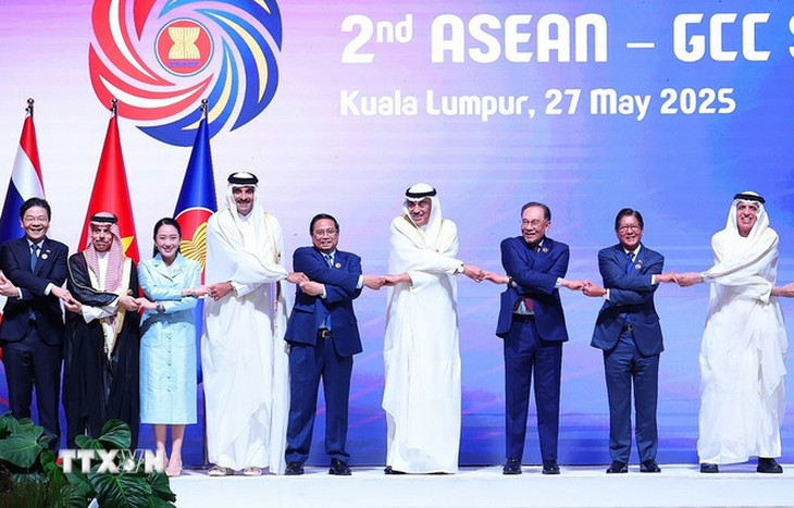 Khai mạc Hội nghị Cấp cao ASEAN - Hội đồng Hợp tác Vùng Vịnh- Ảnh 1.