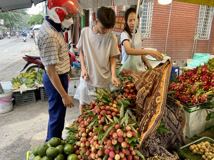 Vải u trứng trắng Hải Dương giá tiền trăm gây ‘sốt’ thị trường trái cây Việt- Ảnh 7. Vải u trứng trắng Hải Dương giá tiền trăm gây ‘sốt’ thị trường trái cây Việt- Ảnh 7.
