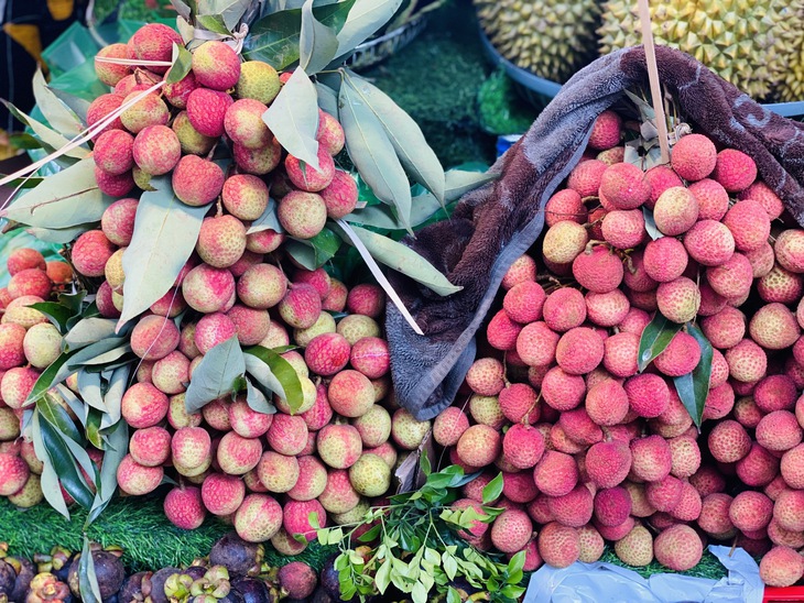 Vải u trứng trắng Hải Dương giá tiền trăm gây ‘sốt’ thị trường trái cây Việt- Ảnh 8. Vải u trứng trắng Hải Dương giá tiền trăm gây ‘sốt’ thị trường trái cây Việt- Ảnh 8.