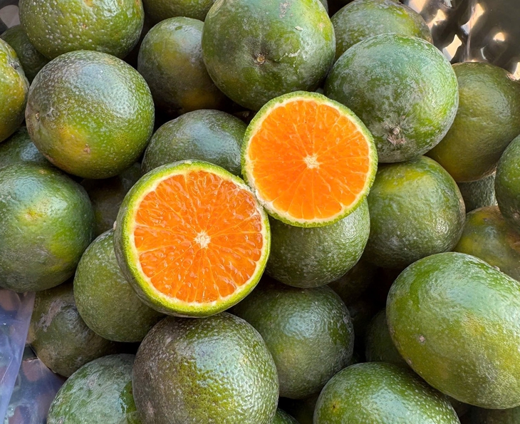 Cam Sen là cam gì, giá siêu rẻ, chỉ vài nghìn đồng/kg?- Ảnh 2.