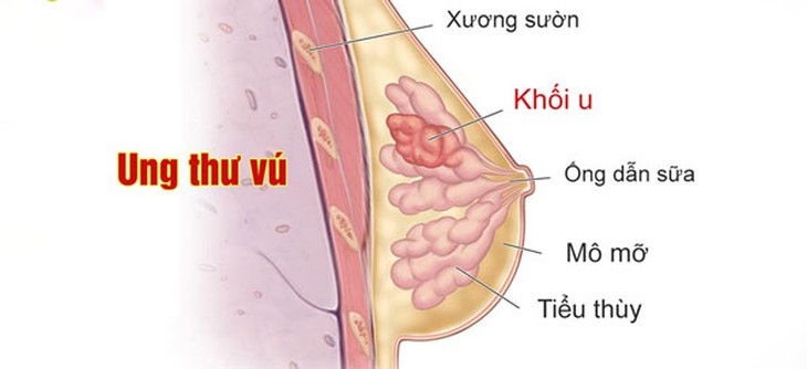 Địa chỉ khám phụ khoa uy tín nhất Hà Nội kèm bảng giá mới nhất