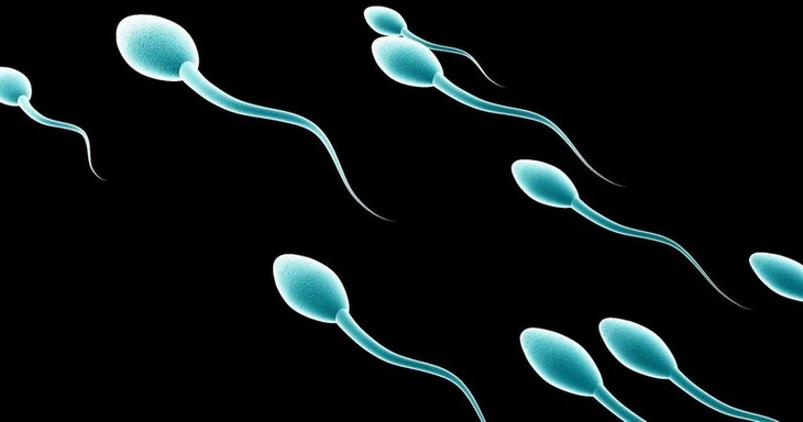 Bê bối người hiến tinh trùng mang gene gây ung thư làm cha của 52 trẻ em tại Bỉ- Ảnh 1.