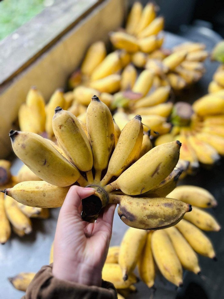 Loại quả được ví như ‘siêu thực phẩm’ bán đầy chợ Việt với giá rẻ- Ảnh 11.