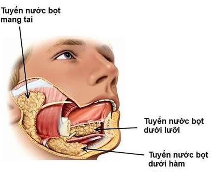 Nước bọt: 'Siêu anh hùng' thầm lặng bảo vệ sức khỏe răng miệng- Ảnh 1.