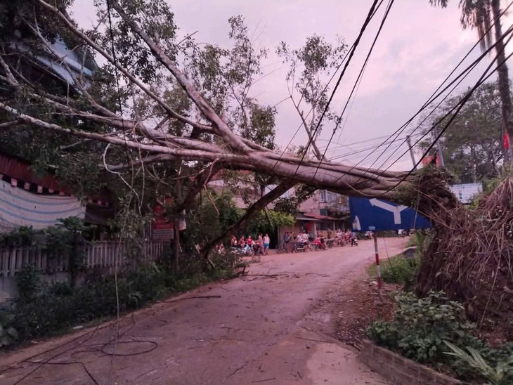 1 người bị thương do cây đổ, 59 nhà dân hư hại vì mưa giông kèm lốc xoáy ở Yên Bái- Ảnh 2. 1 người bị thương do cây đổ, 59 nhà dân hư hại vì mưa giông kèm lốc xoáy ở Yên Bái- Ảnh 2.