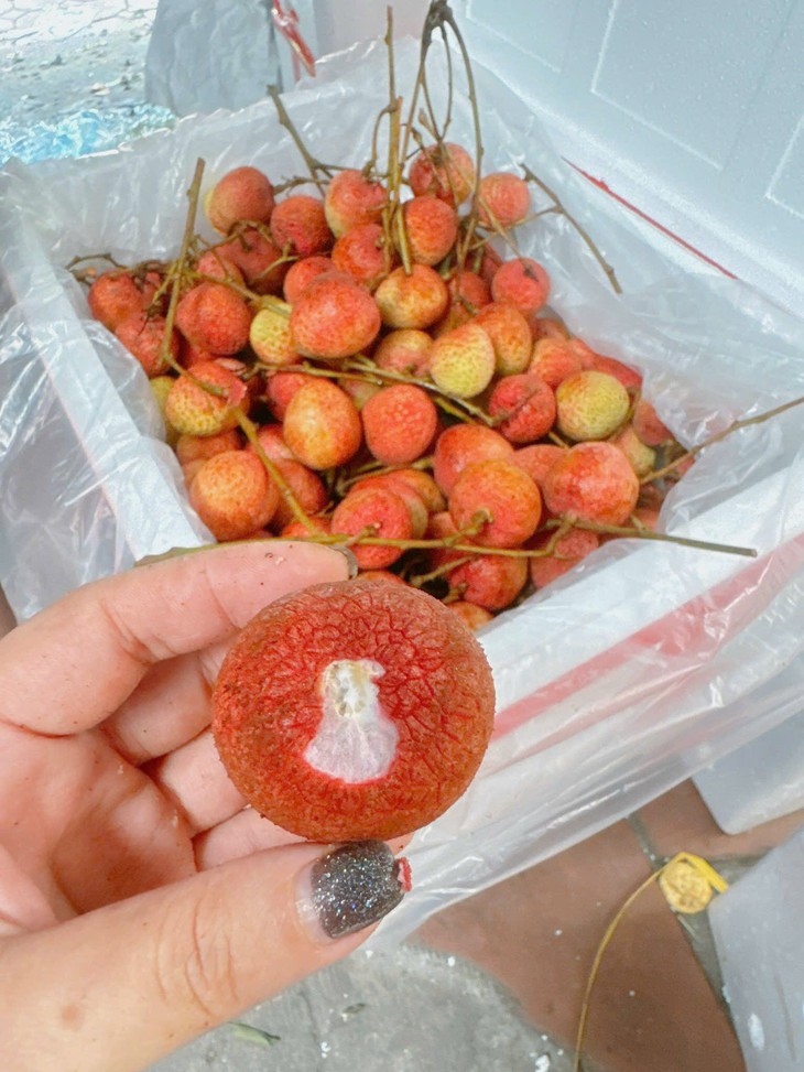 Vải u hồng đầu mùa giá đắt hơn sầu riêng, tiểu thương nhập hàng không đủ để bán- Ảnh 9.