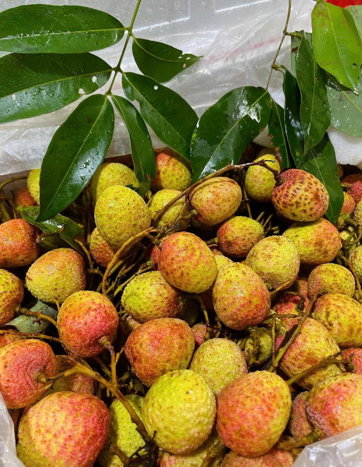 Vải u hồng đầu mùa giá đắt hơn sầu riêng, tiểu thương nhập hàng không đủ để bán- Ảnh 6.