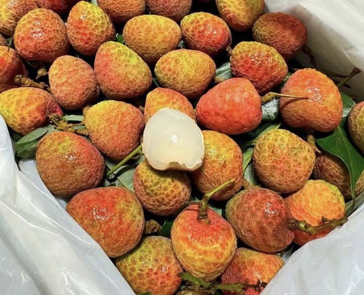 Vải u hồng đầu mùa giá đắt hơn sầu riêng, tiểu thương nhập hàng không đủ để bán- Ảnh 3.