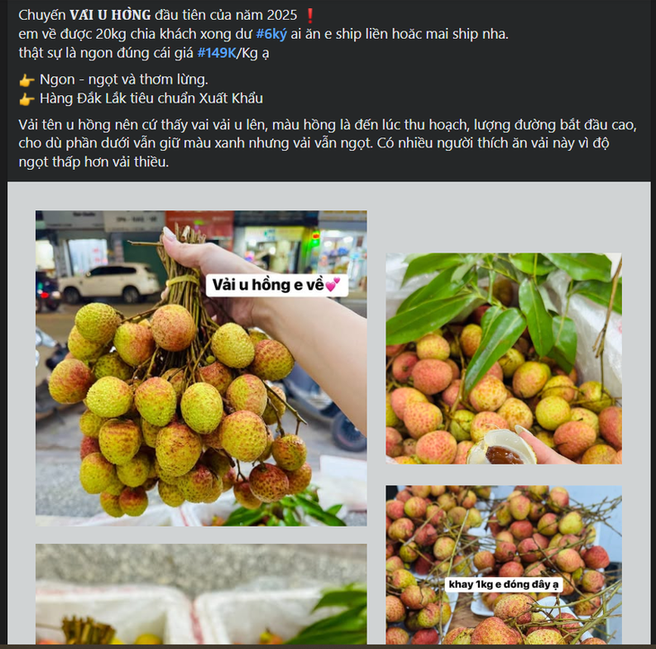Vải u hồng đầu mùa giá đắt hơn sầu riêng, tiểu thương nhập hàng không đủ để bán- Ảnh 4.