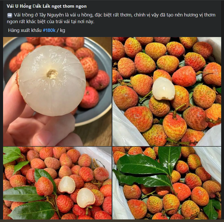 Vải u hồng đầu mùa giá đắt hơn sầu riêng, tiểu thương nhập hàng không đủ để bán- Ảnh 1.