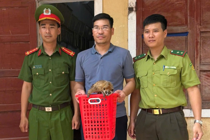 Động vật hoang dã có đôi mắt to tròn vừa được người dân bàn giao quý hiếm đến mức nào?- Ảnh 1. Động vật hoang dã có đôi mắt to tròn vừa được người dân bàn giao quý hiếm đến mức nào?- Ảnh 1.
