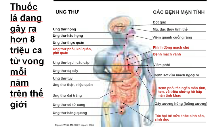 Tăng thuế thuốc lá: Không thể trì hoãn thêm nữa- Ảnh 1.