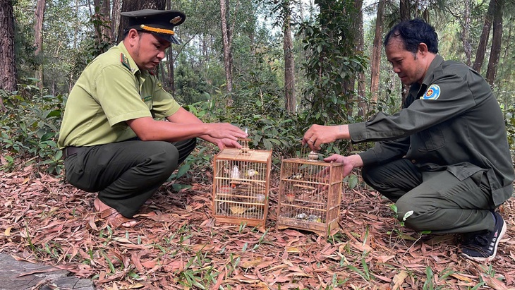 Huế 'mạnh tay' với hành vi mua bán các loài chim hoang dã- Ảnh 2.