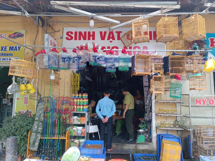 Huế 'mạnh tay' với hành vi mua bán các loài chim hoang dã- Ảnh 1.