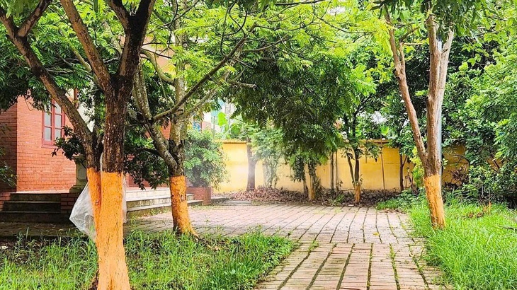 Hải Phòng sắp xếp lại một số đơn vị thuộc Sở Y tế - Ảnh 1.