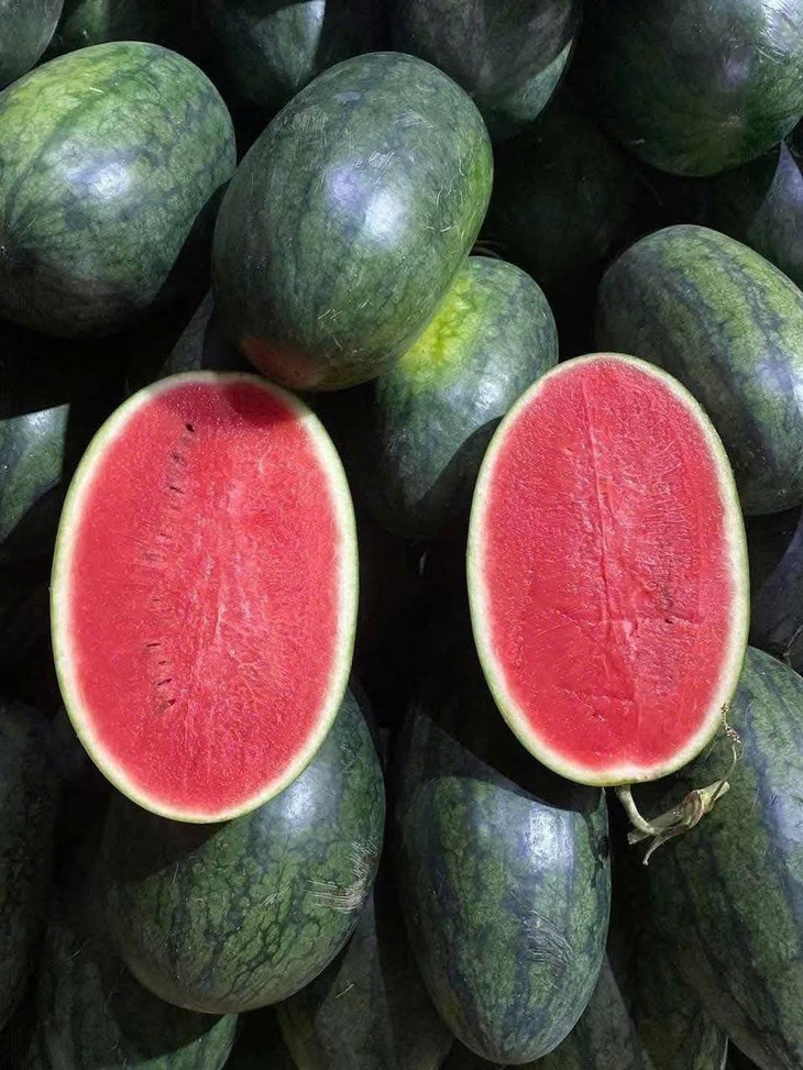 Tiểu thương lý giải nguyên nhân dưa hấu bán tràn ngập thị trường giá chỉ 5.000 đồng/kg,- Ảnh 3. Tiểu thương lý giải nguyên nhân dưa hấu bán tràn ngập thị trường giá chỉ 5.000 đồng/kg,- Ảnh 3.
