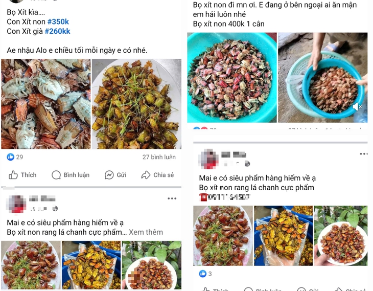 Đặc sản khiến nhiều người 'rùng mình', giá gần nửa triệu đồng/kg vẫn đắt hàng- Ảnh 2. Đặc sản khiến nhiều người 'rùng mình', giá gần nửa triệu đồng/kg vẫn đắt hàng- Ảnh 2.