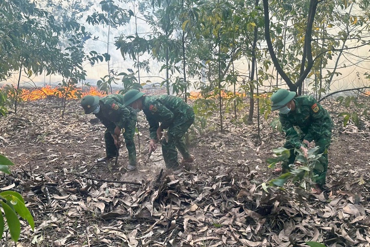 Huế triển khai giải pháp cấp bách phòng cháy, chữa cháy mùa nắng nóng- Ảnh 2.