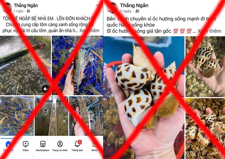 Bắt cặp đôi ngồi trên võng chốt đơn hải sản, lừa đảo hơn 300 triệu đồng- Ảnh 1.