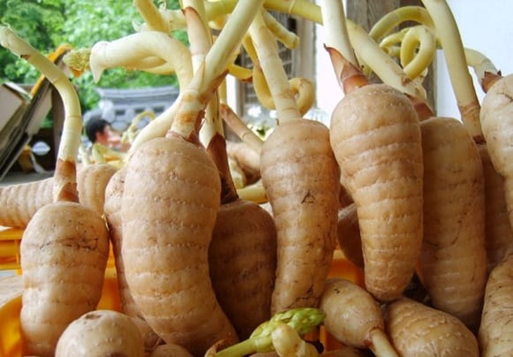 5 món ăn bài thuốc phòng và trị rối loạn tiền đình- Ảnh 3.