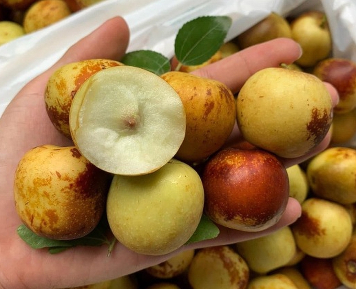 Hồng táo tươi đầu mùa giá gần nửa triệu đồng 1 hộp vẫn đắt khách- Ảnh 1.
