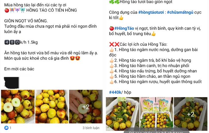 Hồng táo tươi đầu mùa giá gần nửa triệu đồng 1 hộp vẫn đắt khách- Ảnh 2.