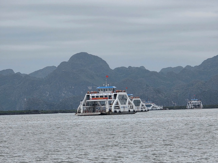 Hải Phòng ứng phó bão số 1: Tạm dừng cấp phép các hoạt động, lưu trú trên biển, cứu hộ kịp thời tàu cá gặp nạn- Ảnh 1. Hải Phòng ứng phó bão số 1: Tạm dừng cấp phép các hoạt động, lưu trú trên biển, cứu hộ kịp thời tàu cá gặp nạn- Ảnh 1.