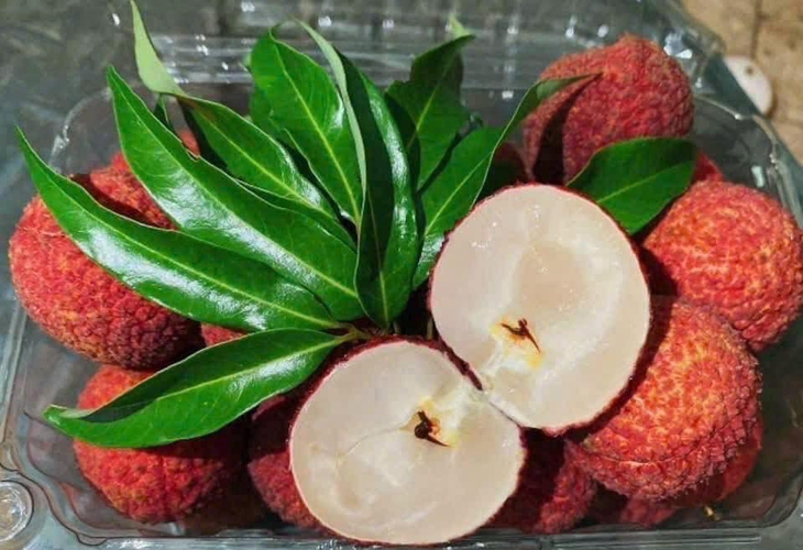 Vải không hạt Trung Quốc gây sốt, dân sành ăn chi tiền triệu để thưởng thức- Ảnh 2.