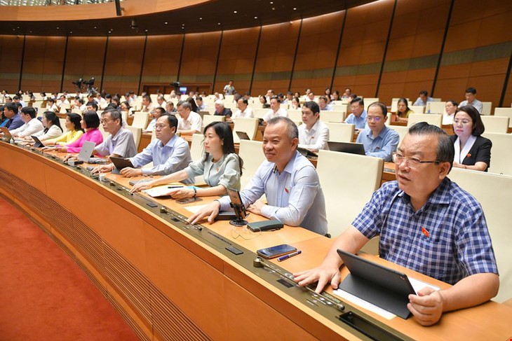 Quốc hội 'chốt': Nước trái cây, nước dừa, sản phẩm làm từ sữa không phải chịu thuế tiêu thụ đặc biệt- Ảnh 1.