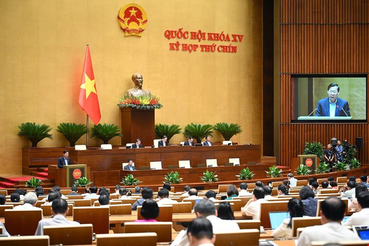 Quốc hội 'chốt': Nước trái cây, nước dừa, sản phẩm làm từ sữa không phải chịu thuế tiêu thụ đặc biệt- Ảnh 2.