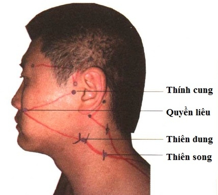 thinh-cung