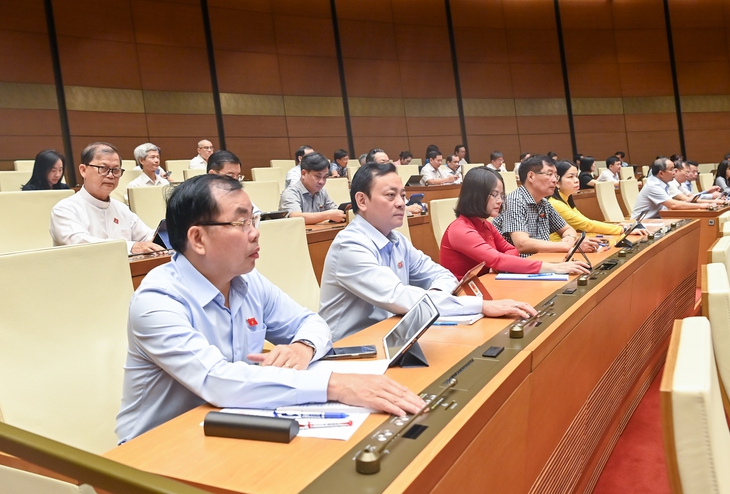 Không đưa chính sách hỗ trợ đối với cán bộ bị ảnh hưởng do sắp xếp vào Luật Việc làm (sửa đổi)- Ảnh 2. Không đưa chính sách hỗ trợ đối với cán bộ bị ảnh hưởng do sắp xếp vào Luật Việc làm (sửa đổi)- Ảnh 2.