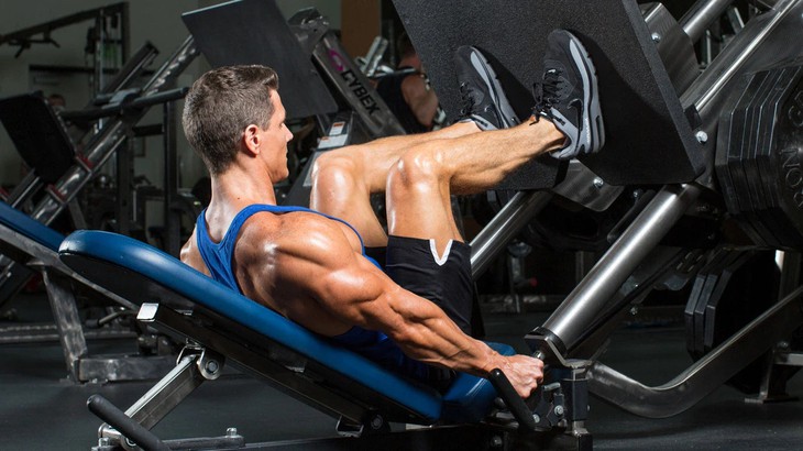 Leg Press Knee Pain: Causes, Solutions, and Prevention Tips – Iron Bull  Strength - CAN